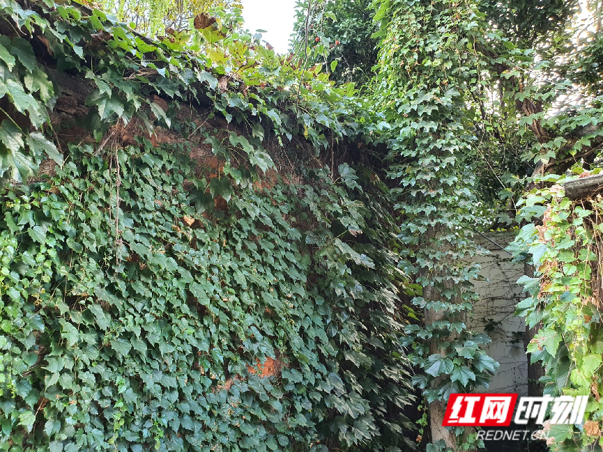 WPS图片4.png WPS图片4.png