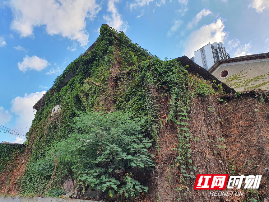 WPS图片1.png WPS图片1.png