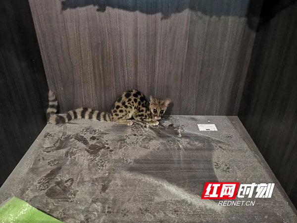 微信图片_20220805225558.jpg 微信图片_20220805225558.jpg