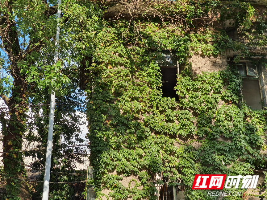 WPS图片5.png WPS图片5.png