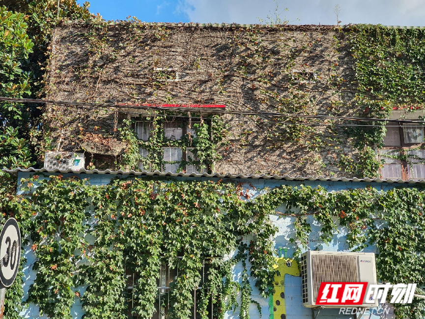 WPS图片6.png WPS图片6.png