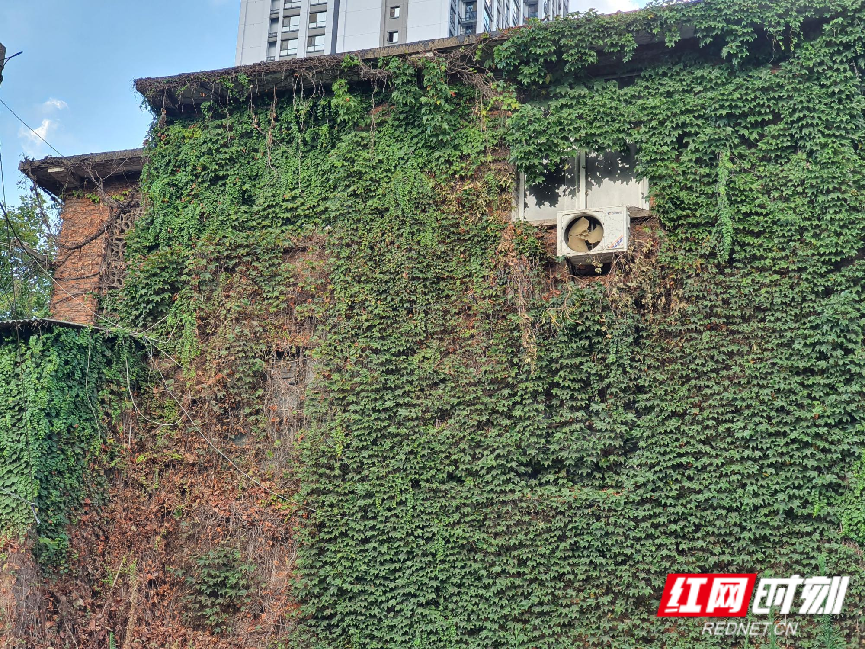 WPS图片2.png WPS图片2.png