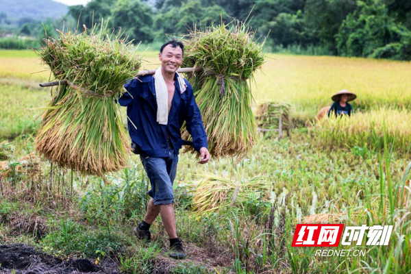 8割禾.jpg