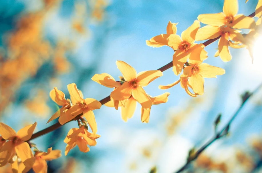 QQ截图20220315090523.png QQ截图20220315090523.png