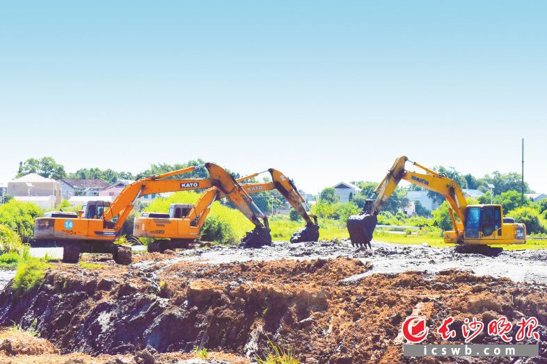 　　挖掘机正把远道而来的优质耕作层土壤覆盖在丰裕村现有的土地上。长沙晚报全媒体记者 刘攀 通讯员 汪逗逗 摄影报道