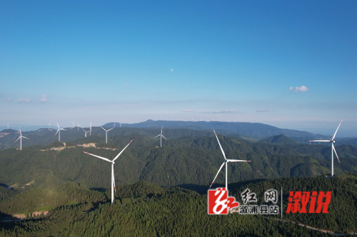 DJI_0827.MP4_20220811_112820.401.jpg