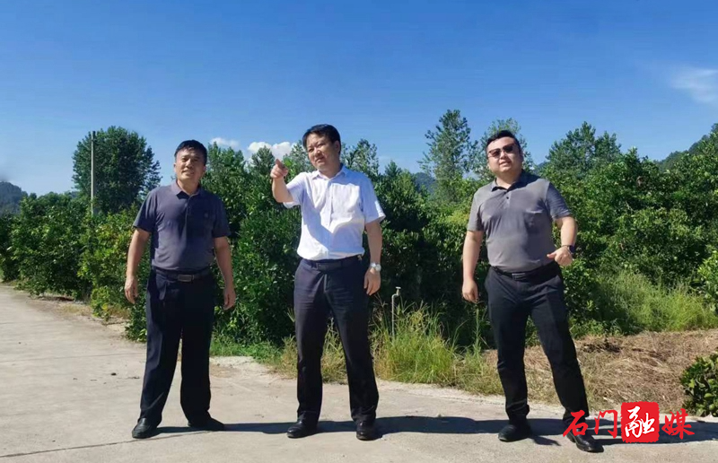 丁克刚赴西北山区督导抗旱及乡村振兴工作3.jpg