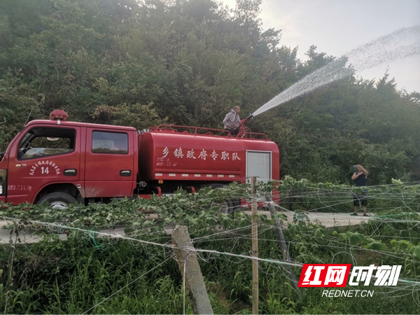 图片28.jpg