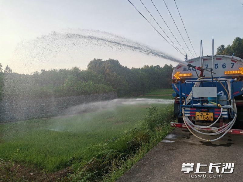 洒水车缓缓驶入长沙县果园镇新明村，种田大户彭帅迎来了“及时雨”。市农业农村局供图