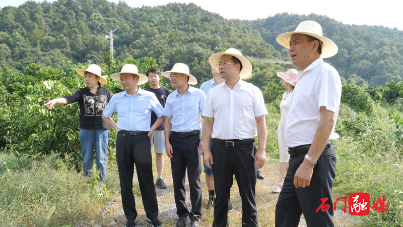 县领导赴新铺镇督导抗旱保收、乡村振兴等重点工作1.png