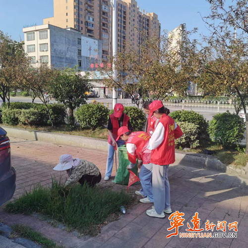 【创建全国文明城市】宁远：文明创建我们在行动 让“文明之花”尽情绽放_副本_副本 500.jpg