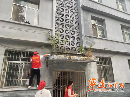 【创建全国文明城市】宁远：“党建+志愿服务” 擦出文明新火花2_副本 500.jpg