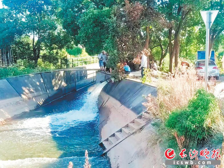 　　在双江口镇双江口社区东风组，水泵将沩江水抽进双清排渠。长沙晚报全媒体记者 张禹 通讯员 曹卫红 摄影报道