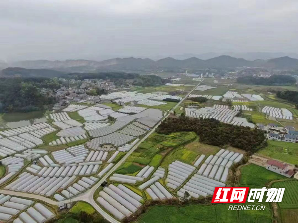 微信图片_20220818094210.jpg