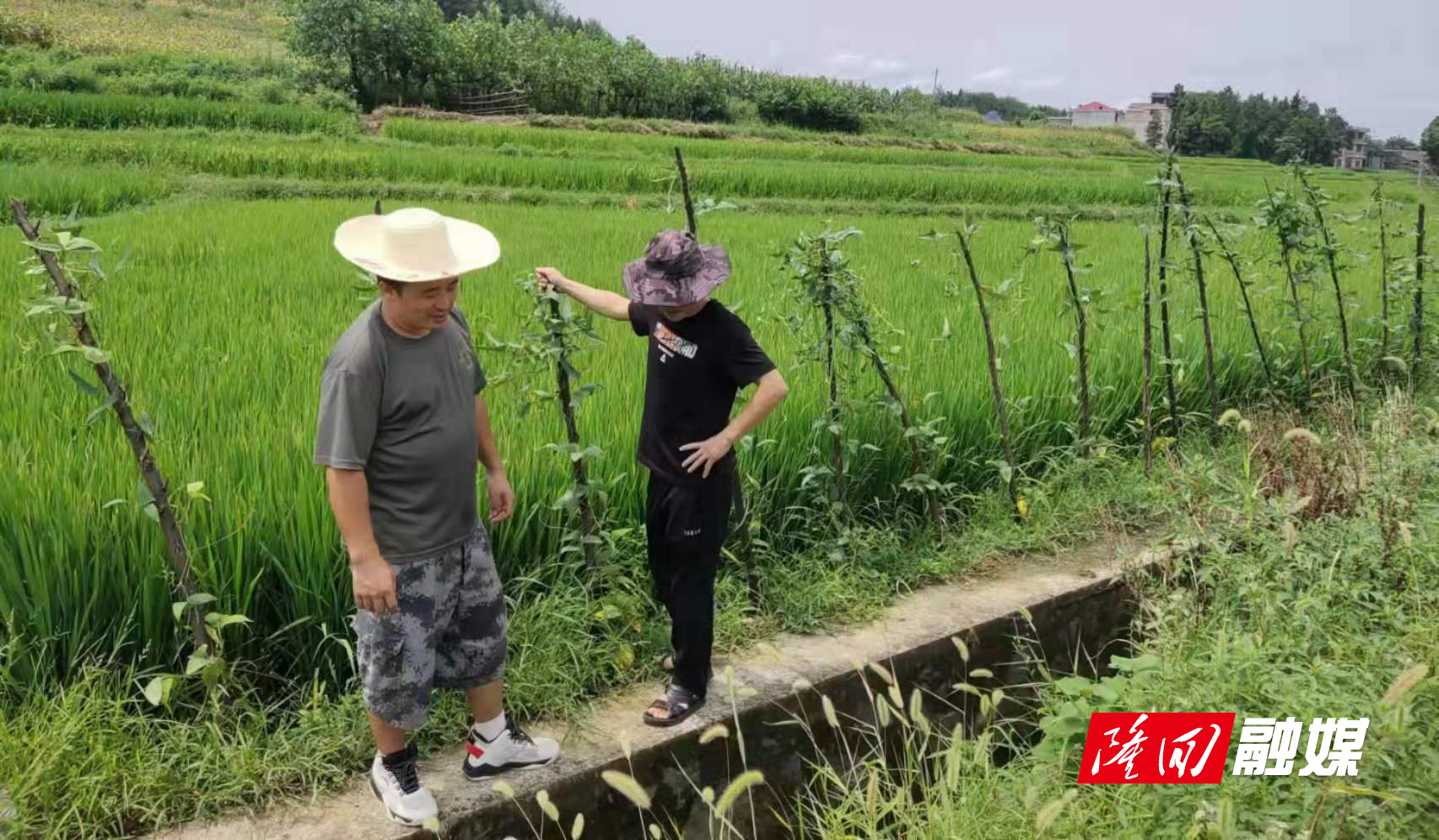 微信图片_20220818094932.jpg