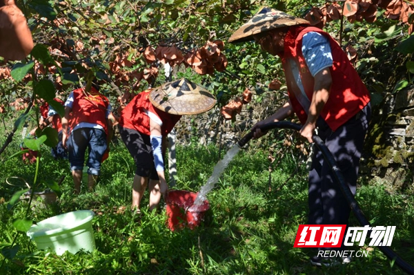 图片7.jpg