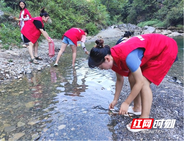 图片59.jpg