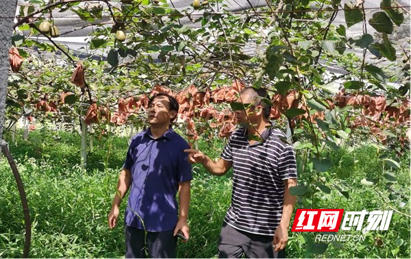 图片14.jpg