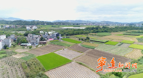 宁远：抗旱服务队活跃田间地头3_副本_副本 500.jpg