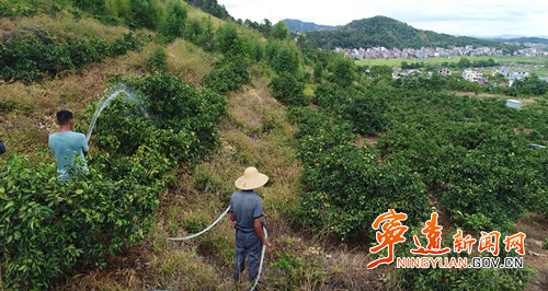 宁远：抗旱服务队活跃田间地头2_副本_副本 500.jpg
