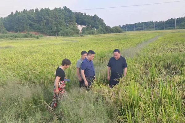 图片1.jpg 图片1.jpg