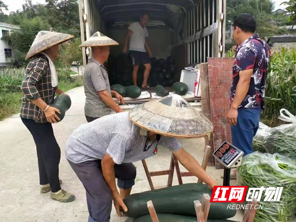 微信图片_20220825112216.jpg