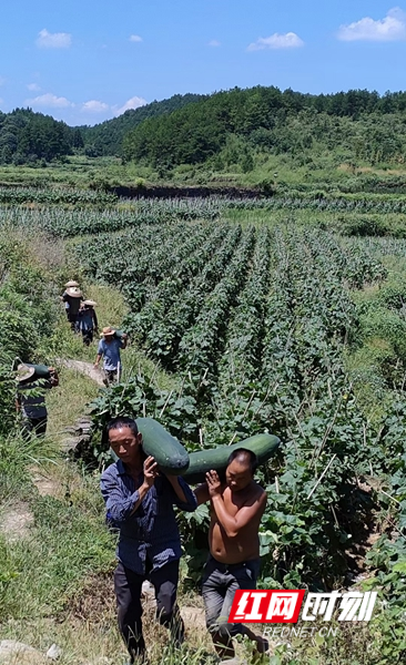 微信图片_20220825112231.jpg