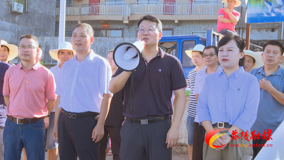 调整大小 Still0825_00002.bmp