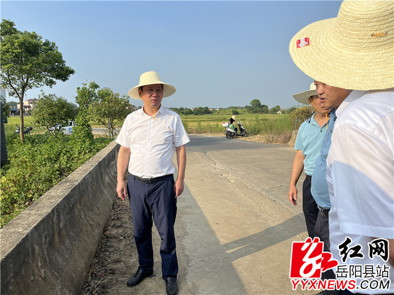 吴光文在黄沙街镇政家桥查看抽水情况.jpg