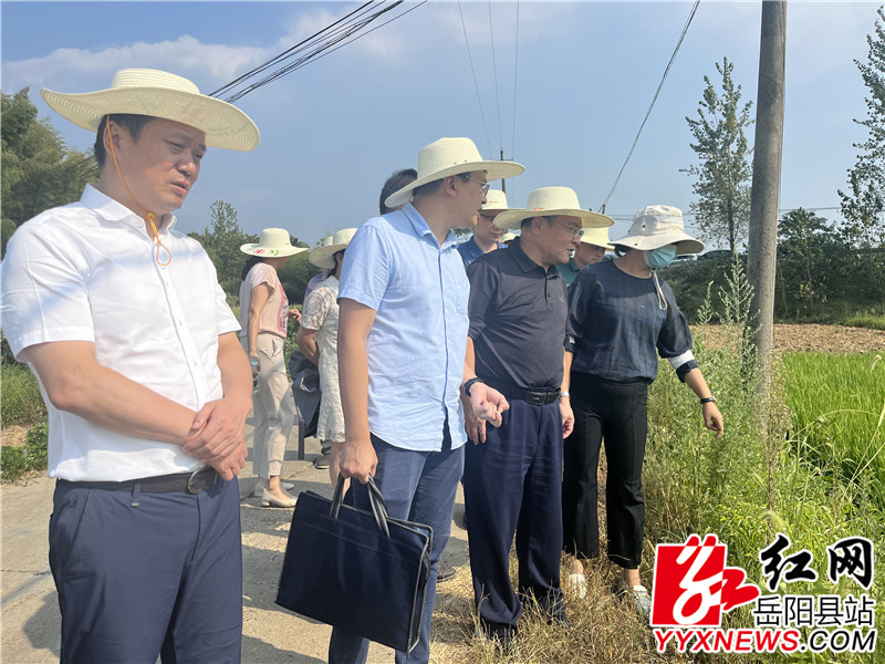 调研组查看农田灌溉情况.jpg