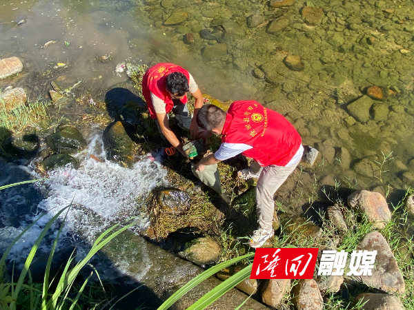 清理河道2(1).jpg 清理河道2(1).jpg