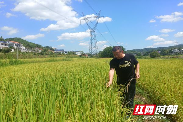 驻村干部在检查农田灌溉情况.jpg 驻村干部在检查农田灌溉情况.jpg