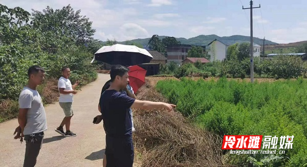 喜迎二十大丨屈顺勇：以民为调  奋力谱写乡村振兴曲1.jpg