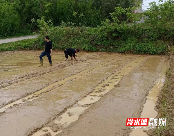喜迎二十大丨屈顺勇：以民为调  奋力谱写乡村振兴曲2.jpg