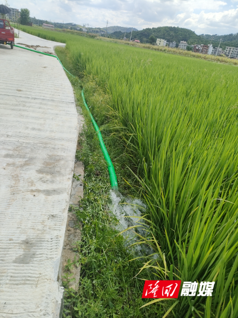 1qgds0t7s40twtepmcphitbxd_0.jpg 1qgds0t7s40twtepmcphitbxd_0.jpg