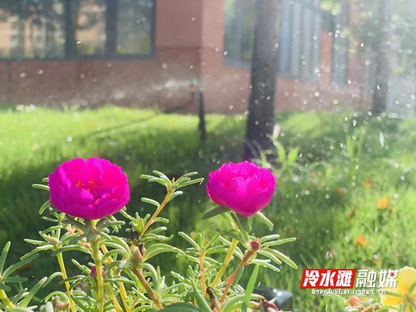微信图片_20220829095049.jpg