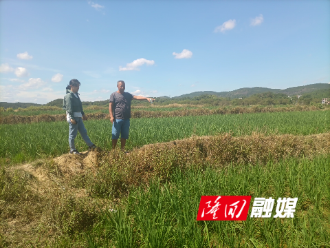 7egf03bz2mkflfzskv05vw8na_0.jpg 7egf03bz2mkflfzskv05vw8na_0.jpg