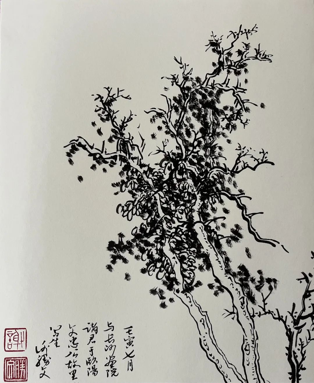 图片