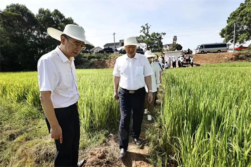 抗旱减灾这场“硬仗”，来看湖南有多“硬核”?