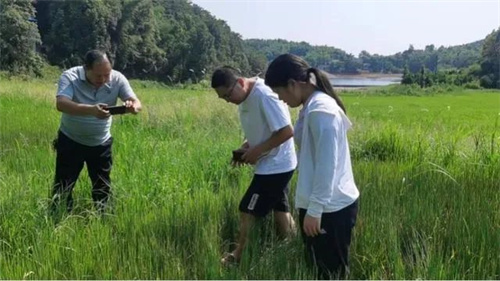 抗旱减灾这场“硬仗”，来看湖南有多“硬核”?