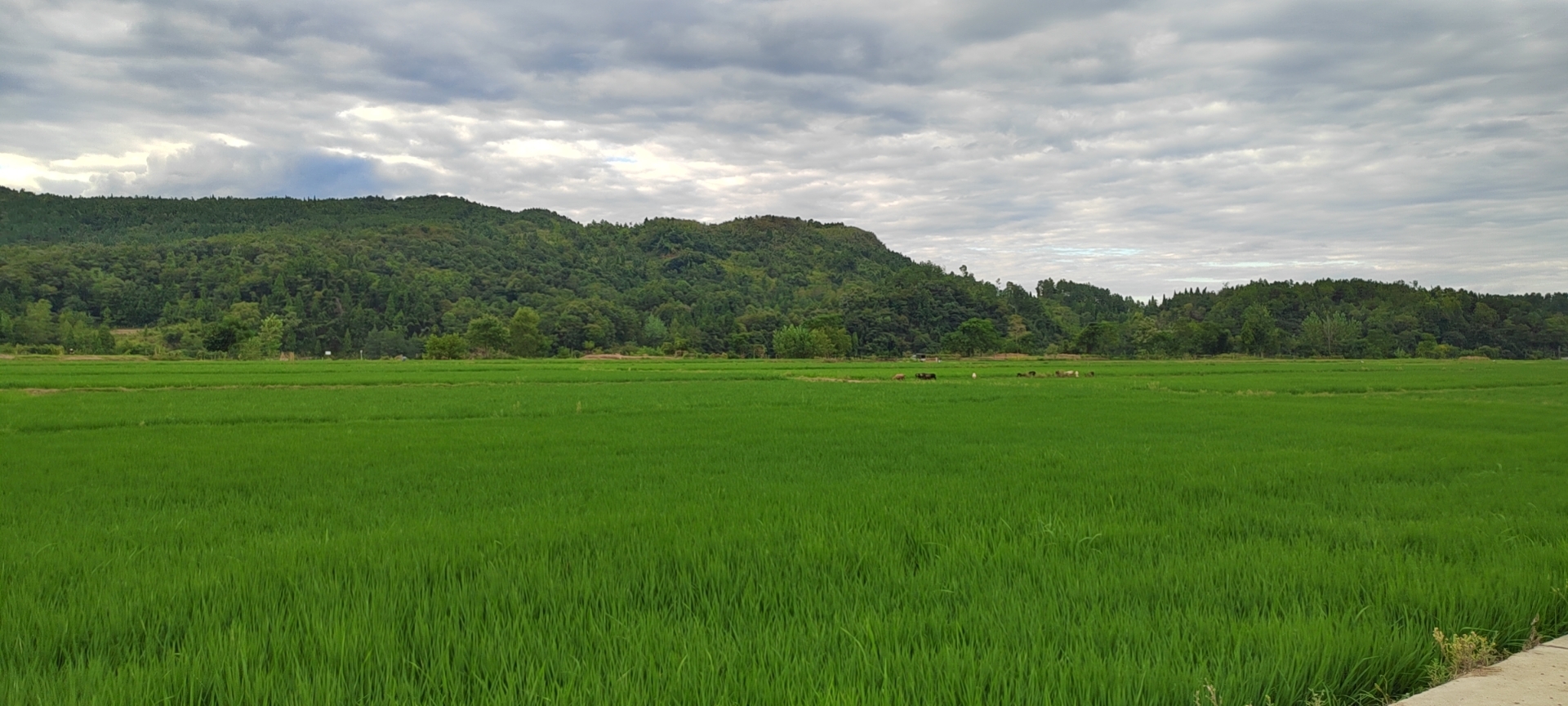 微信图片_202208271842411.jpg 微信图片_202208271842411.jpg