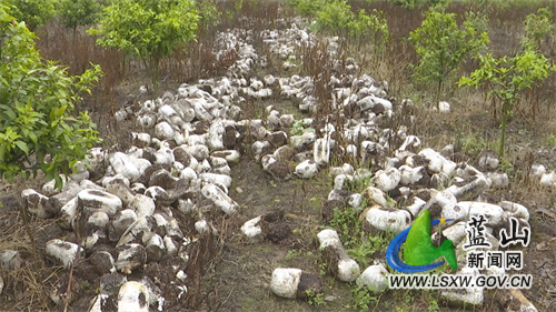 微信图片_20220829171741.jpg 微信图片_20220829171741.jpg