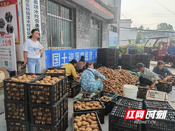 图片8.jpg