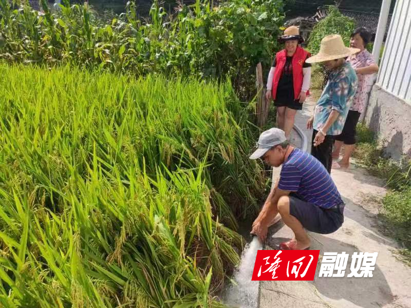 12d6f4eaff9f82f45dac90536cd5e60.jpg 12d6f4eaff9f82f45dac90536cd5e60.jpg