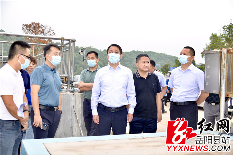 吴光文现场查看生态环境问题整改工作进度2.jpg