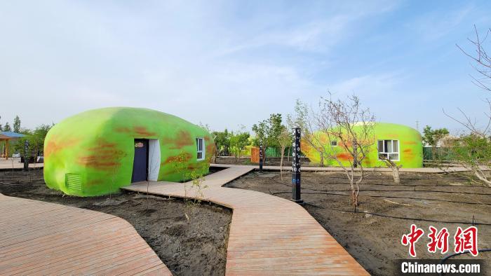 库尔勒市发展乡村旅游，打造阿瓦提乡香梨民宿。(资料图) 马丽娟 摄