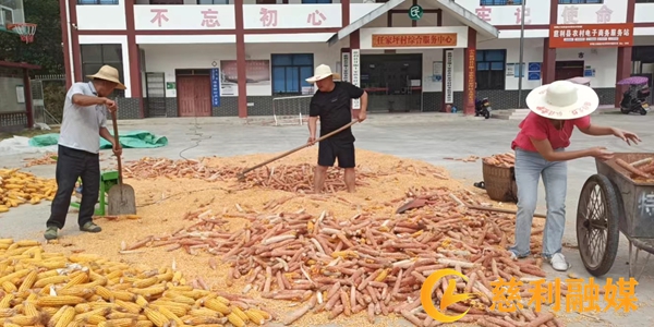 任家坪2.jpg