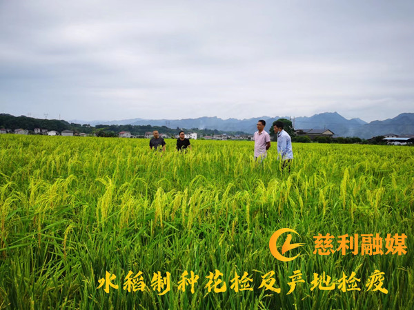 b91bcb5ab8d6393dcd051c6020e8c22_副本_副本.jpg b91bcb5ab8d6393dcd051c6020e8c22_副本_副本.jpg