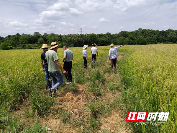 图为受灾农户查勘现场_副本.jpg