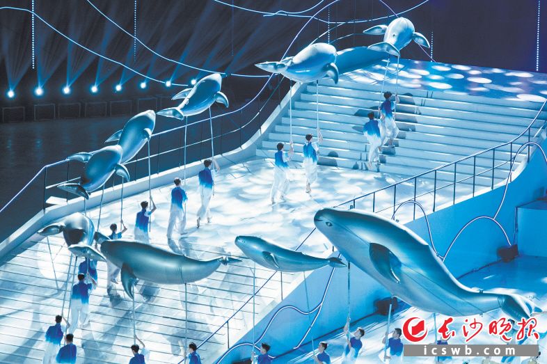 江豚气球体现水元素 均为长沙晚报全媒体记者 郭雨滴 摄